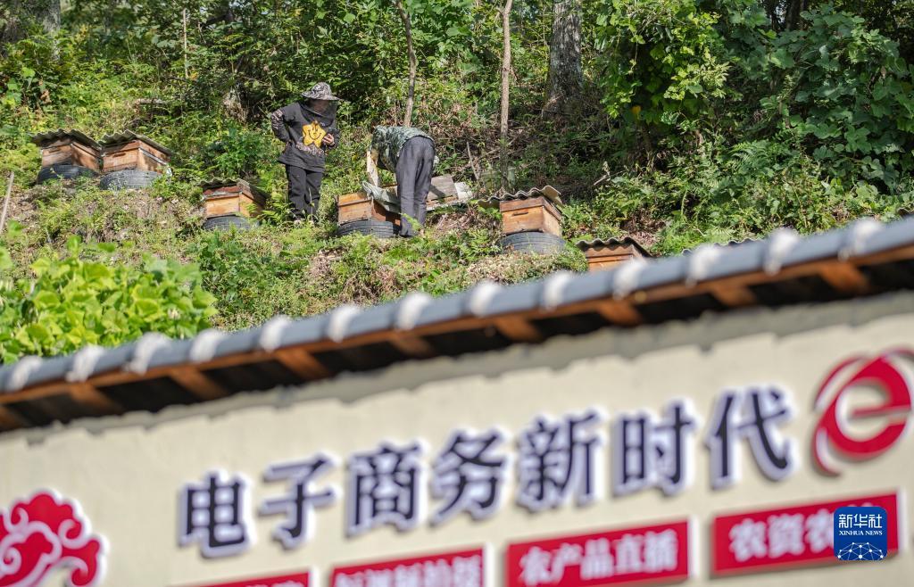 yh银河网址